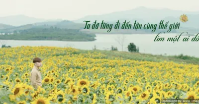 100 Ngày Bên Em - Jun Phạm lạc người thương trên đồng hoa Hướng Dương
