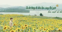 100 Ngày Bên Em - Jun Phạm lạc người thương trên đồng hoa Hướng Dương