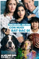 Con Nuôi Bất Đắc Dĩ