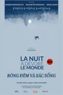 Bóng Đêm Và Xác Sống