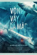 Vòng Vây Cá Mập