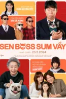 Sen Boss Sum Vầy