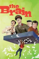 Bộ Não