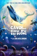 Cá Voi Nhỏ Chu Du Đại Dương