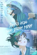 Pháo Hoa Lúc Bình Minh