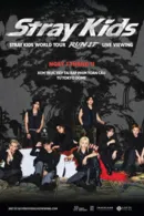 Stray Kids World Tour RUN IT LIVE VIEWING