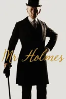 Mr. Holmes