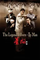 The Legend Is Born: Ip Man
