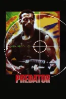 Predator
