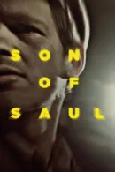 Saul fia