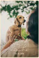 chú chó Hana