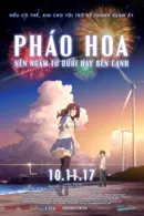 Pháo Hoa, Nên Ngắm Từ Dưới Hay Bên Cạnh