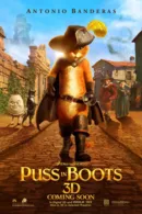 Mèo Đi Hia