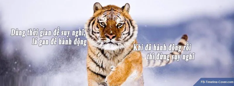hoanghunghtv