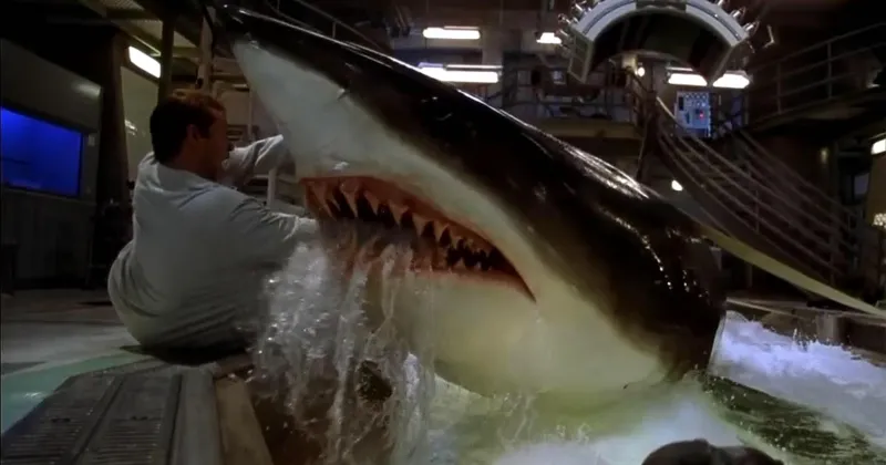 "N&agrave;y th&igrave; lấy bố l&agrave;m th&iacute; nghiệm." - C&aacute; mập giận dữ nghĩ. (Deep Blue Sea 1999)
