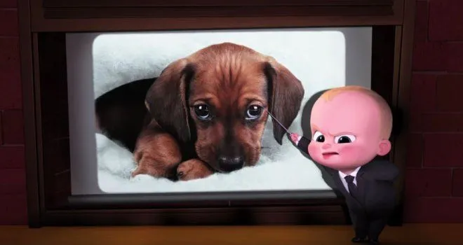 Ai cũng dễ thương, biết chọn ai đây?