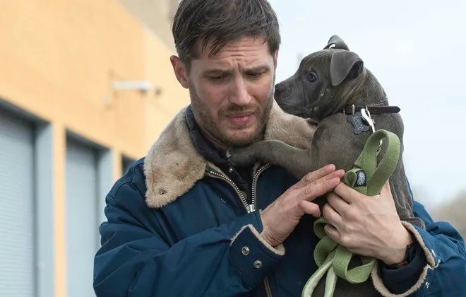 Bộ phim The Drop của t&agrave;i tử Tom Hardy l&agrave; một c&aacute;i t&ecirc;n mới kh&aacute;c trong top ten tuần qua.