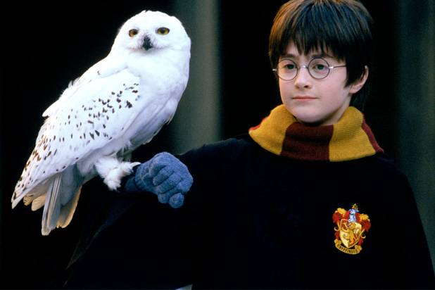 Harry Potter và Hòn Đá Phù Thủy. (Via TheWrap)