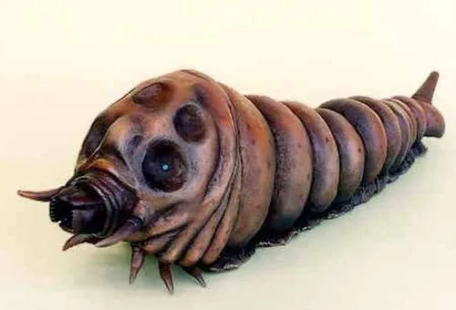 Ấu trùng của Mothra.