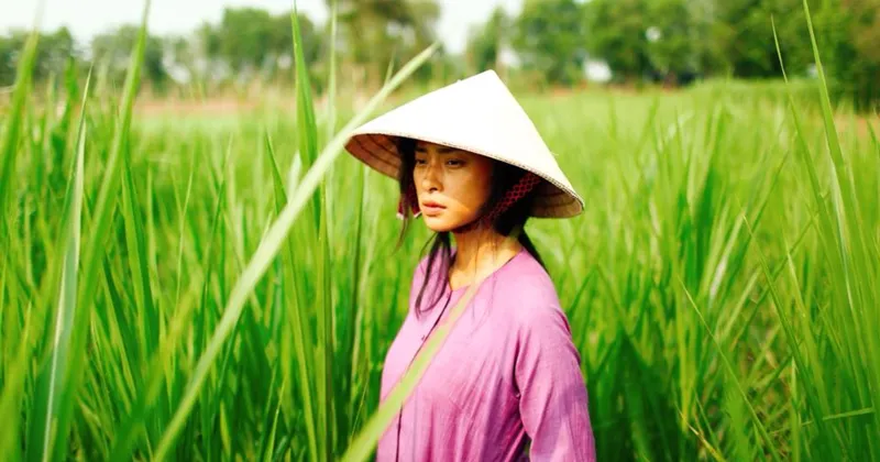 Arclight Films – nhà phát hành của phim trên thị trường quốc tế - đã bán thành công phim Hai Phượng cho hai thị trường lớn và năm nước nói tiếng Anh.