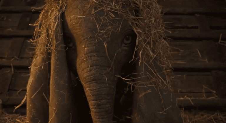 Chú voi Dumbo trong phim được dựng bằng CGI. (THR)