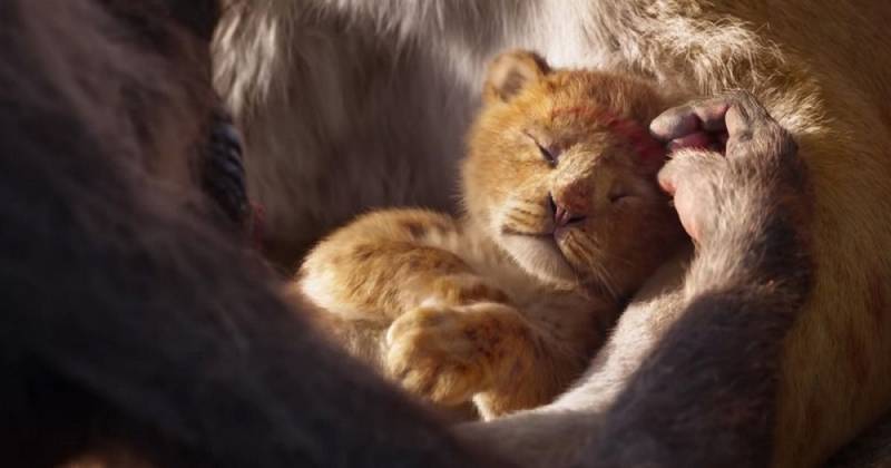 The Lion King (2019) - Ảnh: Walt Disney Studios Motion Pictures.