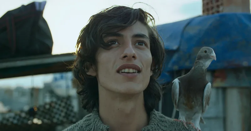 (Ảnh: IMDb)