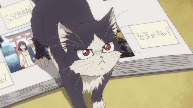Cô mèo Haru trong phim (Ảnh: Crunchyroll)