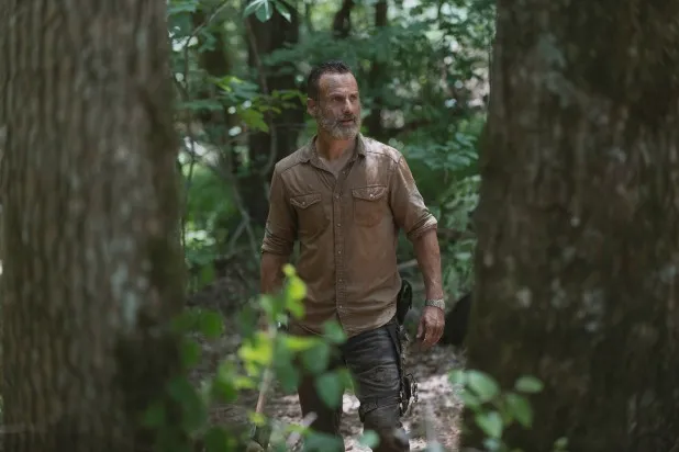 Mặc cho rating sụt giảm, khán giả của The Walking Dead vẫn xem lậu (AMC)