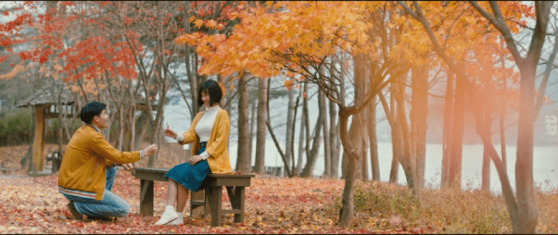 Những khung hình mùa thu lãng mạn được thực hiện tại đảo Nami Hàn Quốc