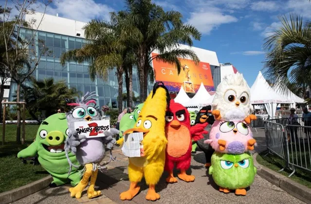 Gạt bỏ tư th&ugrave; c&aacute; nh&acirc;n, Chim v&agrave; Heo c&ugrave;ng nhau &ldquo;hợp lực&rdquo; quảng b&aacute; cho Angry Birds 2 tại Li&ecirc;n hoan phim Cannes 2019