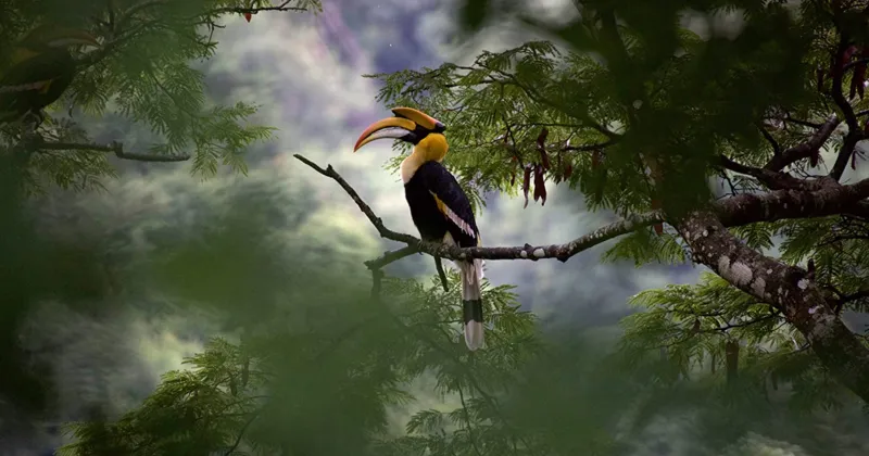 Những khung hình tuyệt đẹp của Our Planet.