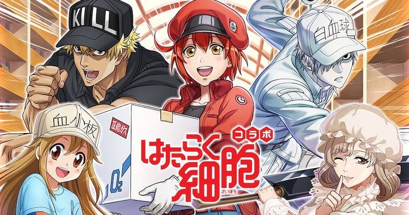 Cells at Work! (Anime Review) | The View from the Junkyard