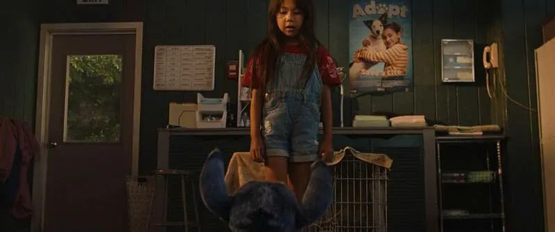 Stitch với trí thông minh vượt trội đã lập ra kế dụ dỗ Lilo nhận nuôi chú