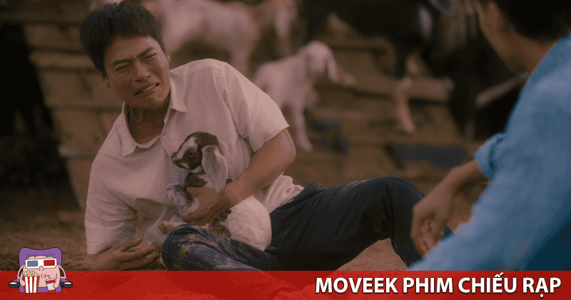 Phim hài hước, rất hợp không khí Tết