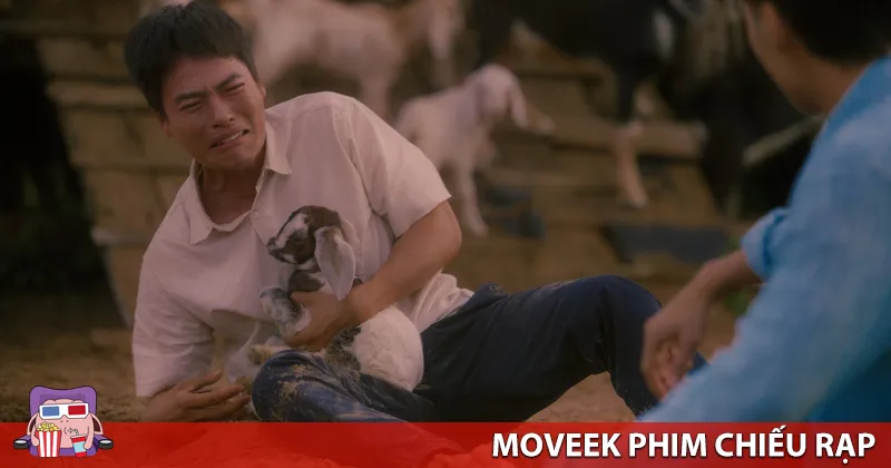 Phim h&agrave;i hước, rất hợp kh&ocirc;ng kh&iacute; Tết