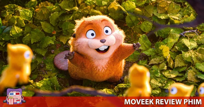 Cô hải ly Mabel có những biểu cảm rất đáng yêu