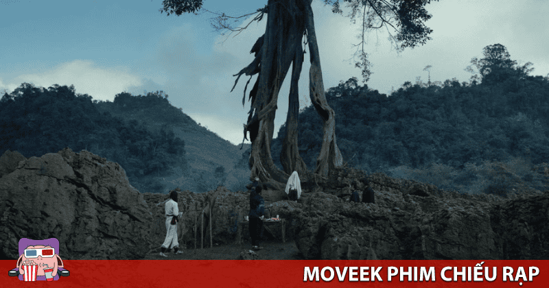 Ph&iacute; Ph&ocirc;ng - Thi&ecirc;n nhi&ecirc;n cũng l&agrave; một nh&acirc;n vật c&oacute; hồn