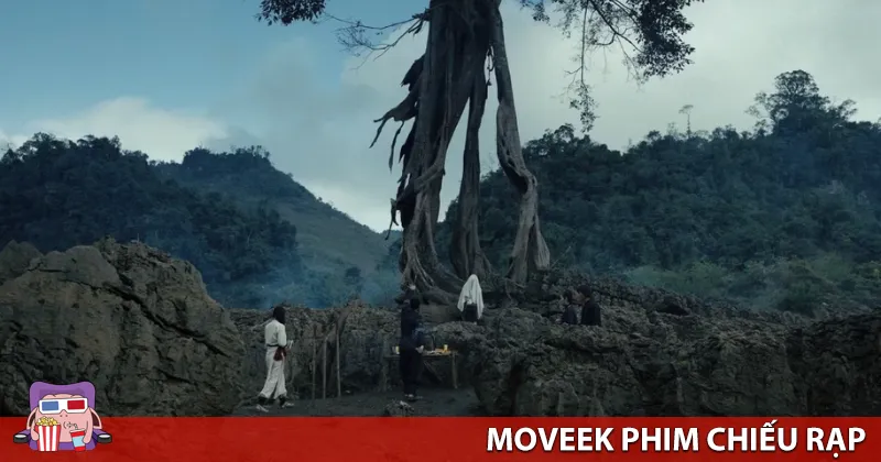 Phí Phông - Thiên nhiên cũng là một nhân vật có hồn