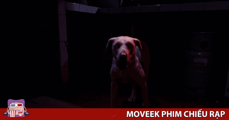 Phim ma n&agrave;y c&oacute; ma thật | Phim: Quỷ Cẩu