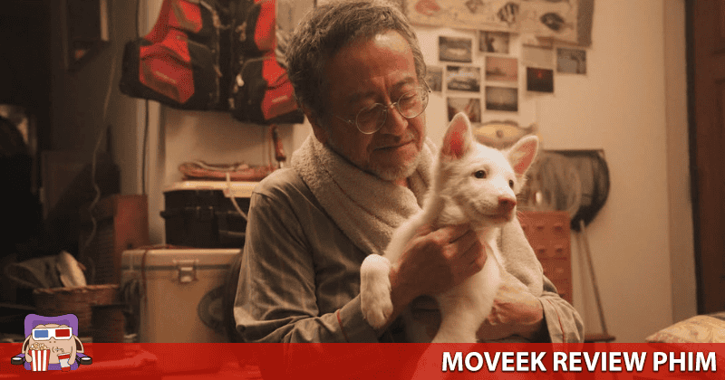 C&acirc;u chuyện với người chủ đầu ti&ecirc;n sẽ rất đ&uacute;ng gu những người y&ecirc;u ch&oacute;
