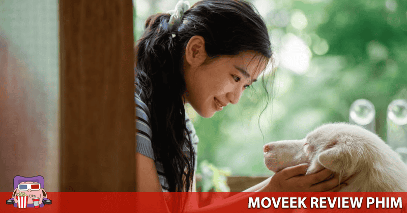 Nhiều người chủ đến v&agrave; đi khỏi cuộc đời Gohan