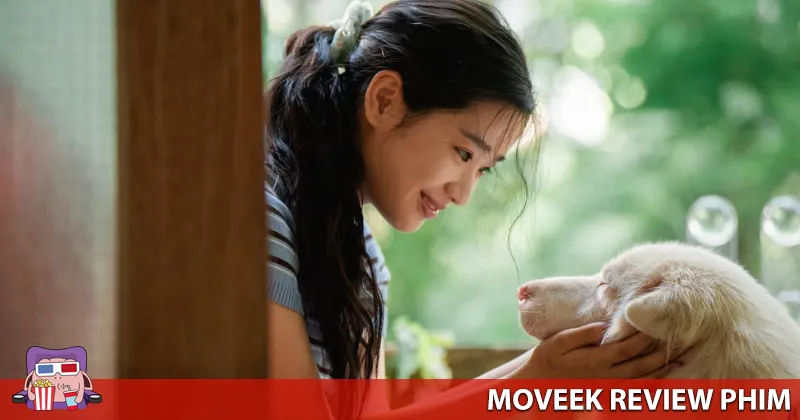 Nhiều người chủ đến v&agrave; đi khỏi cuộc đời Gohan
