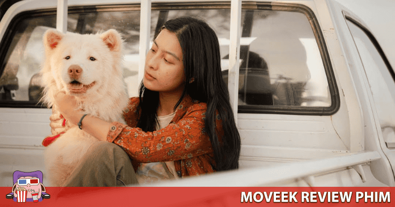 Phim n&ecirc;n dừng ở c&acirc;u chuyện thứ 2 m&agrave; th&ocirc;i