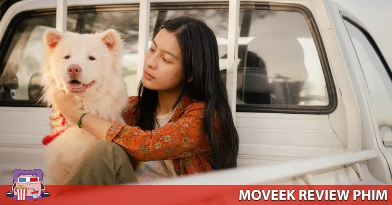 Phim n&ecirc;n dừng ở c&acirc;u chuyện thứ 2 m&agrave; th&ocirc;i