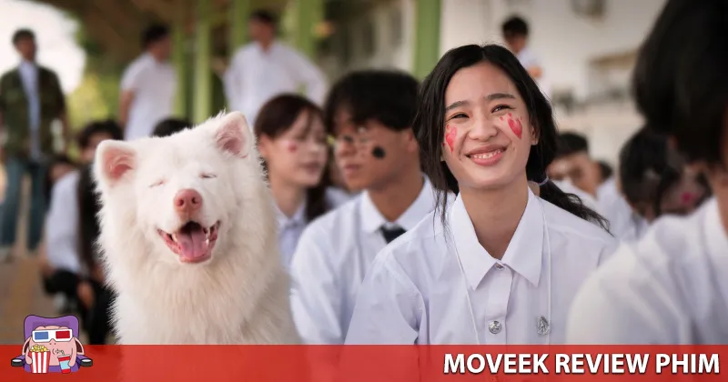 C&oacute; đến 3 ch&uacute; ch&oacute; thủ vai Gohan