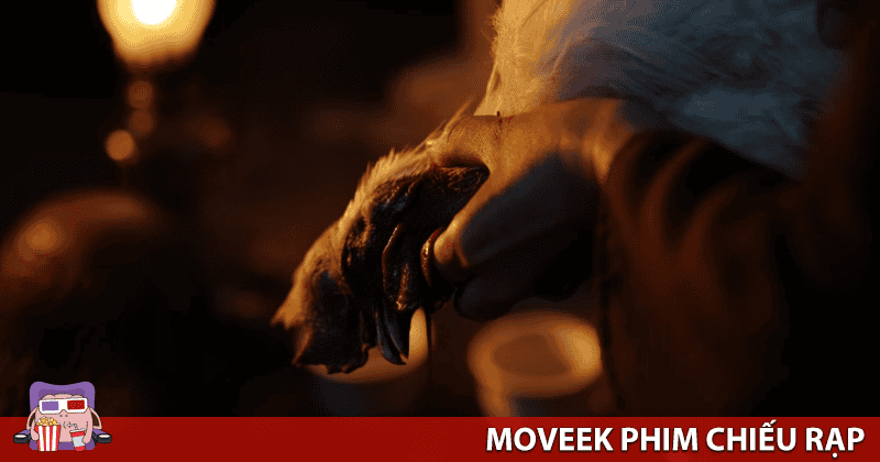Phim c&oacute; phần h&igrave;nh ảnh hứa hẹn