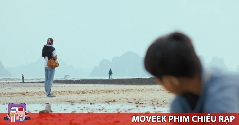 Trường Hè, 2001 là phim xem để chiêm nghiệm