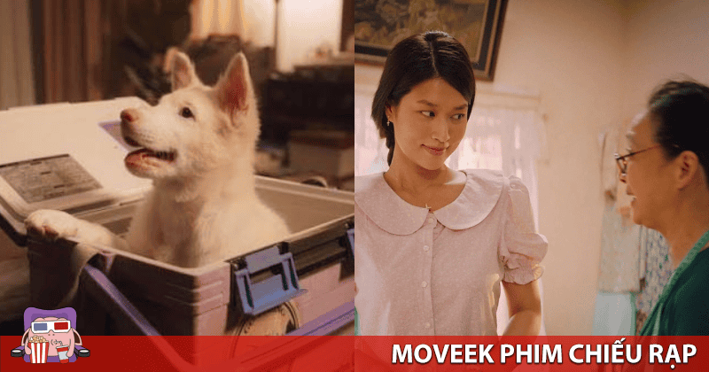 Kh&aacute;n giả Việt h&ocirc;m nay kh&ocirc;ng c&ograve;n đến rạp chỉ v&igrave; kỹ xảo ho&agrave;nh tr&aacute;ng hay t&ecirc;n tuổi Hollywood, thứ họ t&igrave;m kiếm l&agrave; những c&acirc;u chuyện chạm được v&agrave;o thứ g&igrave; đ&oacute; quen thuộc