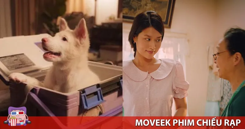 Kh&aacute;n giả Việt h&ocirc;m nay kh&ocirc;ng c&ograve;n đến rạp chỉ v&igrave; kỹ xảo ho&agrave;nh tr&aacute;ng hay t&ecirc;n tuổi Hollywood, thứ họ t&igrave;m kiếm l&agrave; những c&acirc;u chuyện chạm được v&agrave;o thứ g&igrave; đ&oacute; quen thuộc
